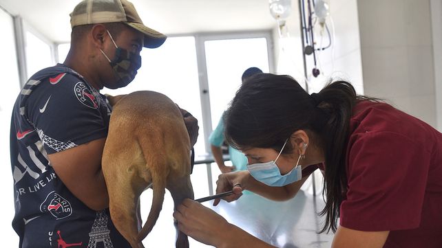 Trabajos de iluminación y bacheo previstos para este viernes