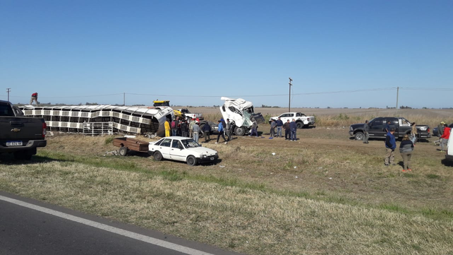 Volcó un camión con hacienda en Miguel Torres y decenas de vecinos se agolparon en el lugar en busca de un poco de carne.