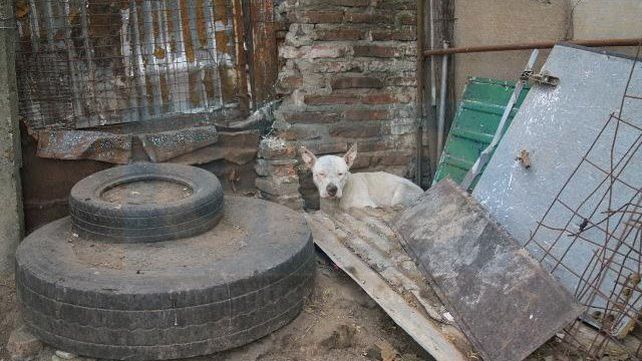 Barrio Antártida Argentina: Al borde de la barranca y cercados por la basura