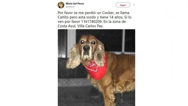 El momento de desesperación de Sol Pérez por su perrito