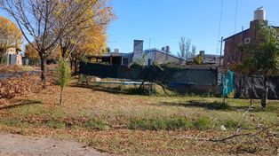 Pesadilla en Funes City: denuncia que sus vecinos la acosan con líquidos tóxicos para echarla de su casa