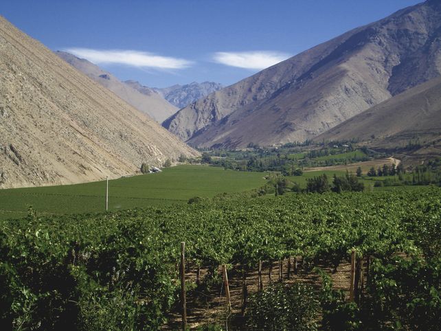 De La Serena a San Juan por el valle del Elqui