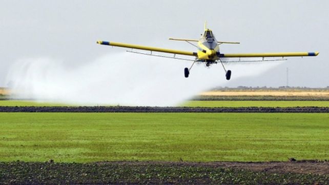 No fumigarás. En 2011 pierdo un embarazo intoxicada. Ese día fumigaron y empecé a brotarme