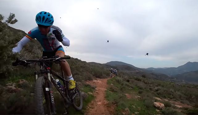 Brutal ataque de un enjambre de abejas a un grupo de ciclistas