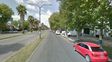 vecinos de alberdi denuncian casos de perros con sintomas de envenenamiento
