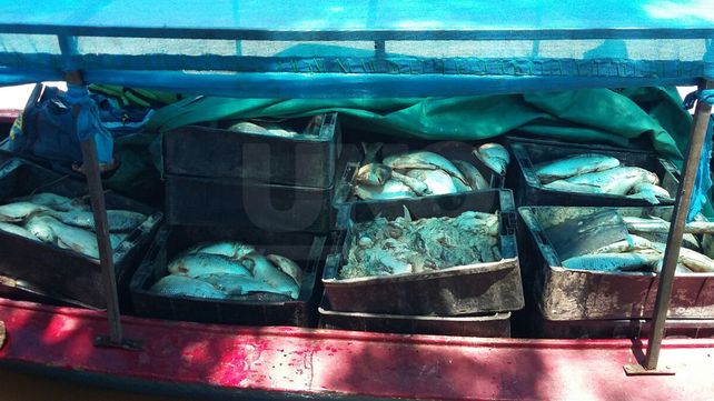 Secuestraron más de 3000 pescados en distintos parajes de Arroyo Leyes