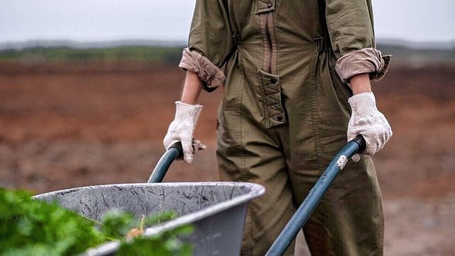 Beneficios de la recolección de agua de lluvia para la agroindustria