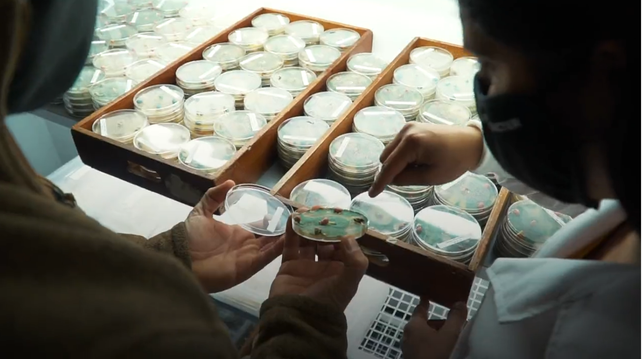 China aprobó la soja resistente a sequía de la empresa rosarina Bioceres