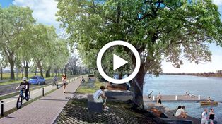 Senderos peatonales y carriles para bicicletas: así será el “Paseo del Puerto”