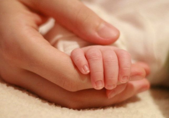 Autorizan un trasplante de hígado de un donante vivo a una beba de 11 meses