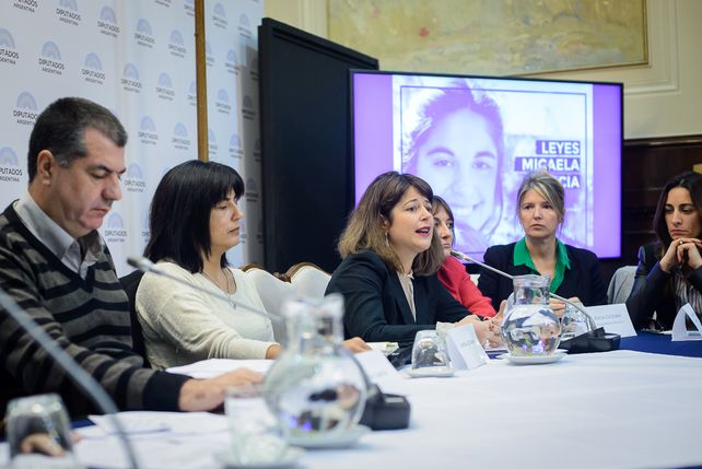 Las leyes Micaela buscarán frenar la Vioelncia de Género.&nbsp;