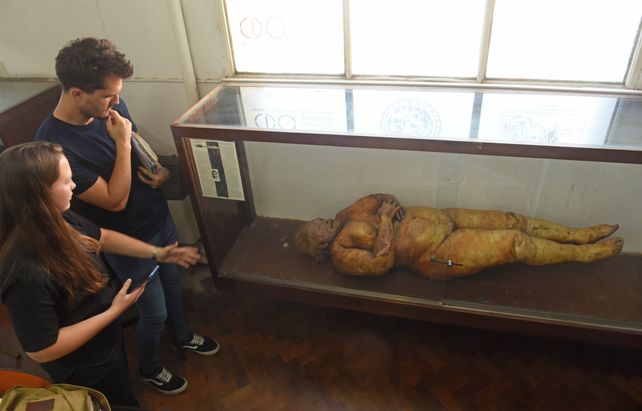 El enigma de Carmelita, la momia rosarina que se exhibe en Medicina