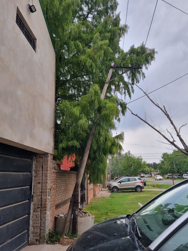 Se multiplican en Rosario los postes a punto de caer