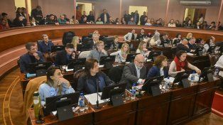 Laura Stratta dejó bien clara la postura de la oposición ante la creación de la OSER.&nbsp;