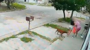 Intentó prender fuego a otra mujer y quedó en libertad: el MPA apelará las medidas alternativas dispuestas por el juez