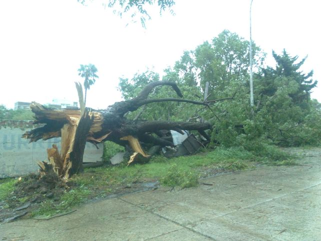 Terrible temporal de lluvia y viento generó graves destrozos en Paraná