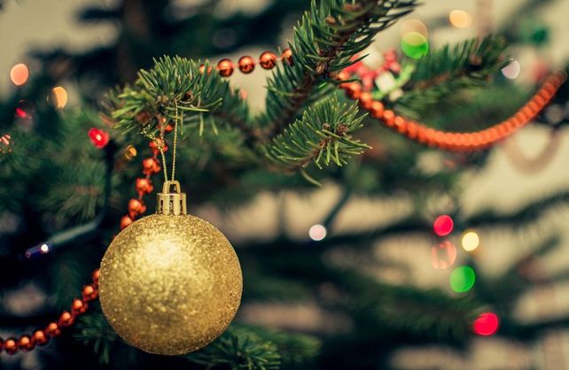 Con respecto al año pasado los precios aumentaron entre un 20% y 30%.