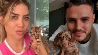 Las mascotas de Wanda Nara y Mauro Icardi quedaron en Turquía y no se conoce con certeza su paradero
