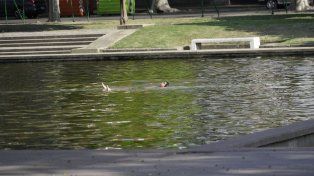 El tiempo en Rosario: jueves caluroso, pero con chances de tormentas aisladas