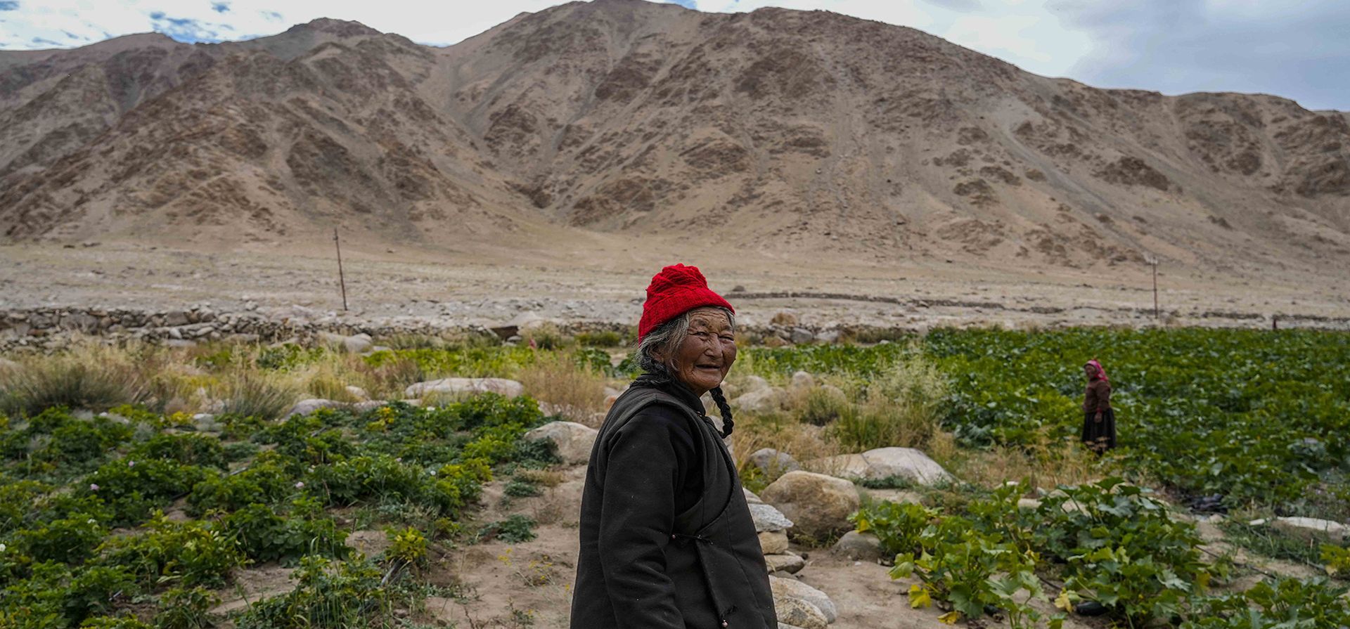 Una mujer de Ladakhi en su tierra de cultivo en la aldea de Kulum, en la fría región desértica de Ladakh, India, el martes 20 de septiembre de 2022.