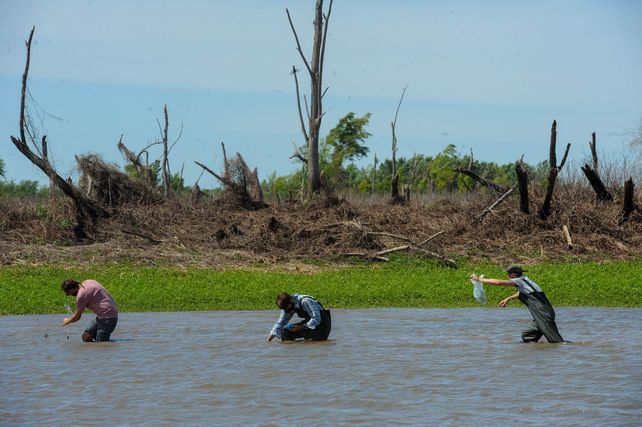 Los investigadores tomaron muestras de agua en una de las lagunas que sufrió las consencuencias de las quemas a fines de julio.&nbsp;