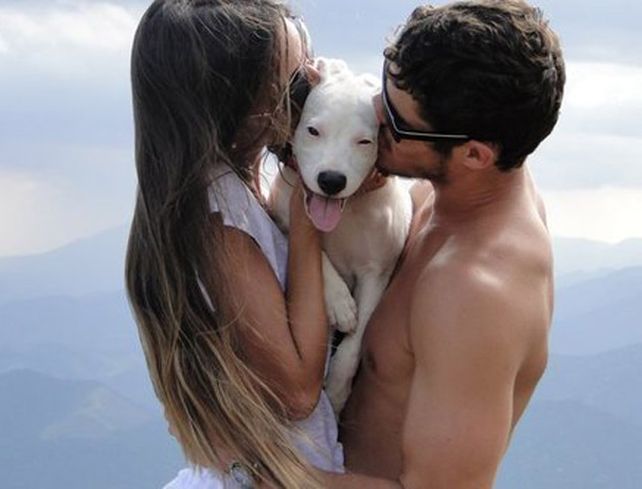 El perro es el tercero en discordia por el que cada vez más parejas deciden separarse