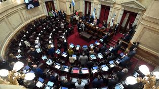 El proyecto de ley que obtuvo dictamen del Senado de la Nación había llegado en revisión desde Diputados.