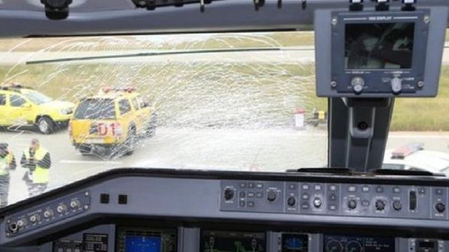 Un plantel de fútbol, cerca de una tragedia aérea por culpa de un pájaro