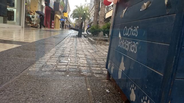 En memoria de Cica, el perrito peregrino que se aquerenció en peatonal San Martín