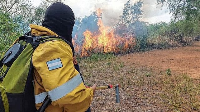 Video: denuncian que los incendios de la isla Puente son intencionales