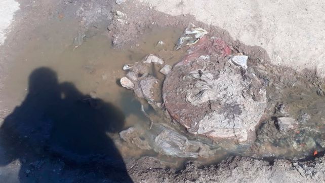 {altText(<p> Cloacas reventadas en barrio Nueva Ciudad, de Paraná.Foto: enviada por vecinos #UNOEnLaCalle</p>,Paraná: Siete meses con la cloaca tapada )}