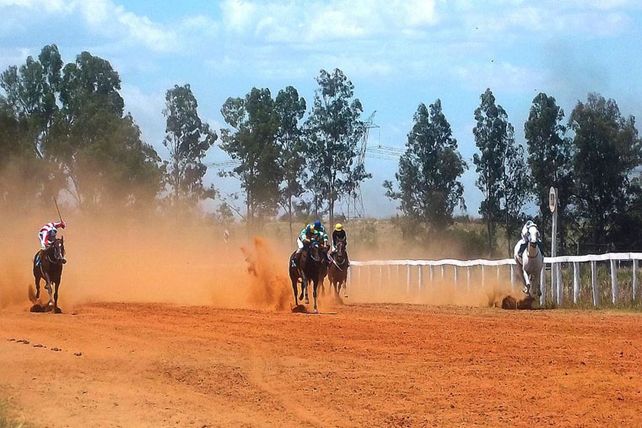 Largaron. En el ambiente hípico sostienen que sería común la aplicación de drogas para mejorar el rendimiento. Foto Gentileza/Hipódromo de Cambá Paso