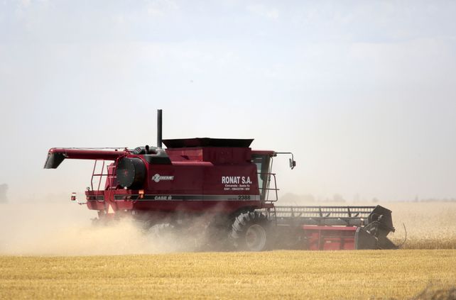 La Bolsa santafesina indicó que se sembraron 476.500 ha de trigo