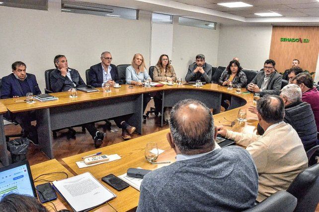 El lunes el senado tratará deuda por 500 millones de dólares.