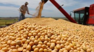 El dólar soja empujó los negocios: se registraron operaciones por 2,13 millones de toneladas