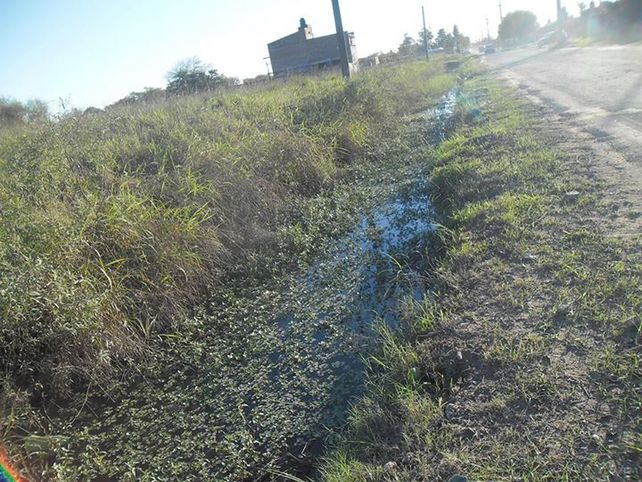 Barrio Nueva Esperanza y UPCN. Callejón Aguirre y Av. Peñaloza. El zanjón está cubierto de agua y faltan