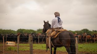 La integración productiva marca el rumbo de la actividad ganadera en el norte del país.