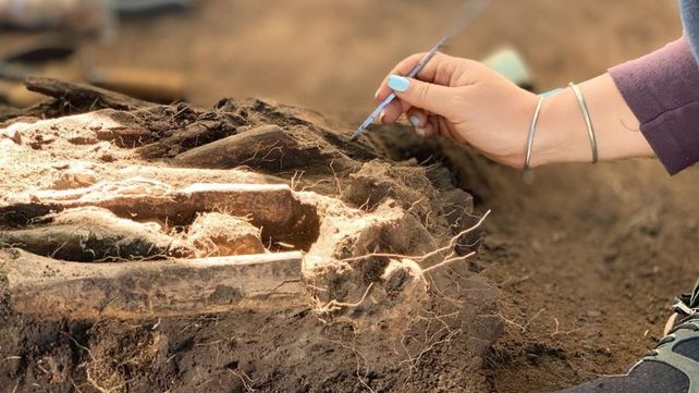 Un minucioso trabajo llevó a los descubrimientos arqueológicos.