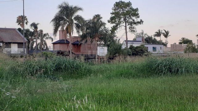 Yuyos altos en la zona de barrio Guadalupe en la zona de Azcuénaga y Matheu (imagen ilustrativa)