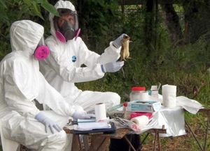 Salta: alarma por 12 casos de hantavirus y cinco fallecidos