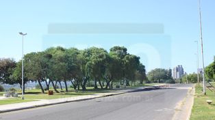 Pulmón de la ciudad. Ambientalistas cuestionan la realización de obras en el lugar.&nbsp;