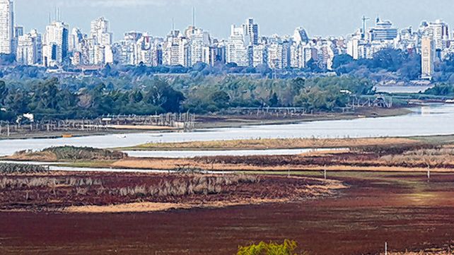 destrucci&oacute;n. Zonas caracterizadas por su biodiversidad quedaron devastadas bajo las llamas.