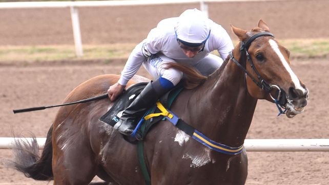 El jockey Diego Aparicio lleva a ganador a Pituco Storm en la 5ta. carrera del Independencia.