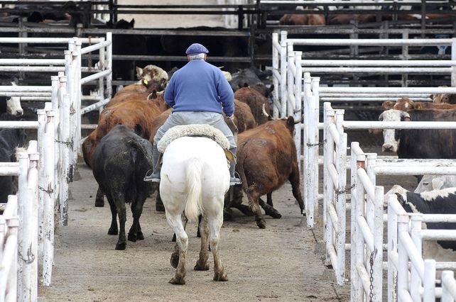 La foto del día después al cierre de las exportaciones de carne