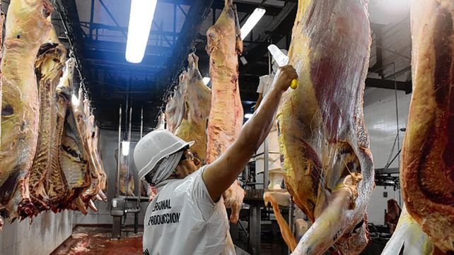 Expansión. La demanda china tracciona las exportaciones de carne.