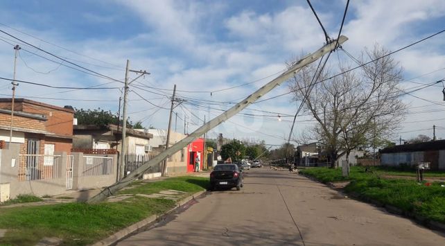 Cayeron árboles y postes por la tormenta