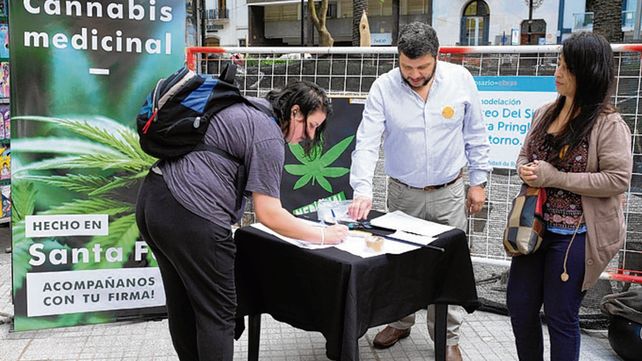 buena recepción. Los rosarinos firmaron ayer a favor del cannabis.