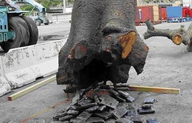 En destino. El tronco con 220 panes de cocaína llegó a Italia en abril de 2009 tras ser cargado en San Javier.