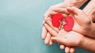 Como cada año, el Día Mundial del Riñón se conmemora el segundo jueves de marzo&nbsp;