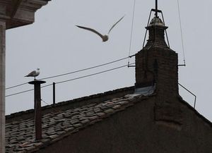 Una gaviota en la chimenea de la Capilla Sixtina anticipa a la elección del Papa